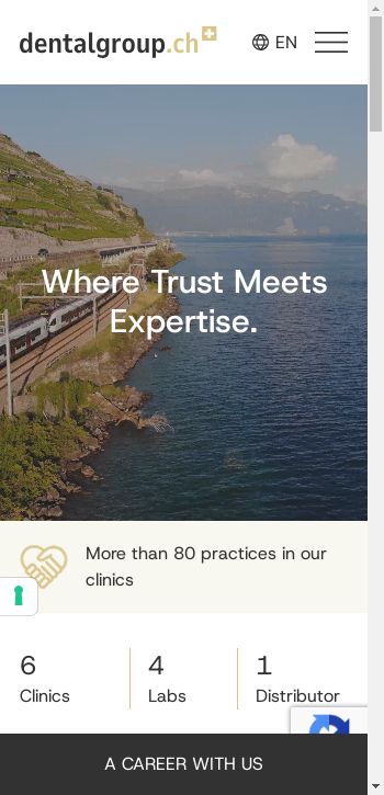 dentalgroup.ch mobile screenshot b2b website scoring